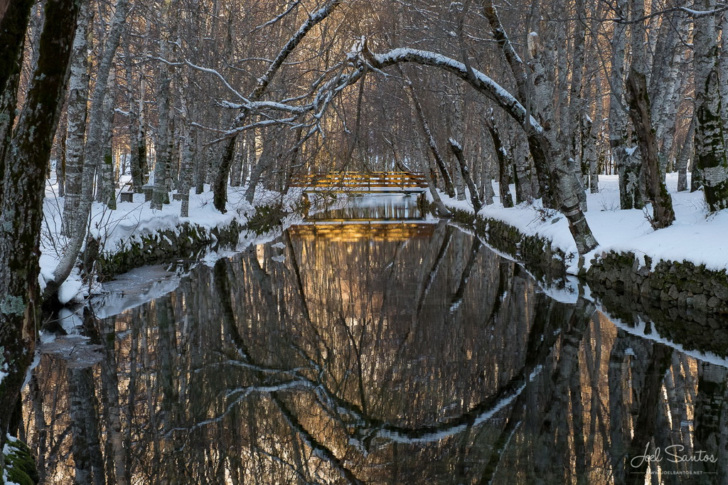 <h5>© Joel Santos - www.joelsantos.net</h5>